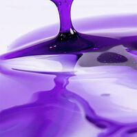 Champú Nº3 Silver No Yellow  250ml-196824 Champú Nº3 Silver No Yellow  250ml-196824 1